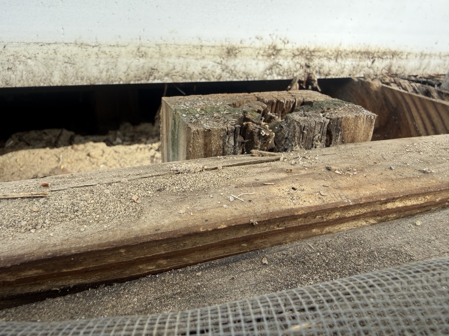 Demolition and rot exposed on porch